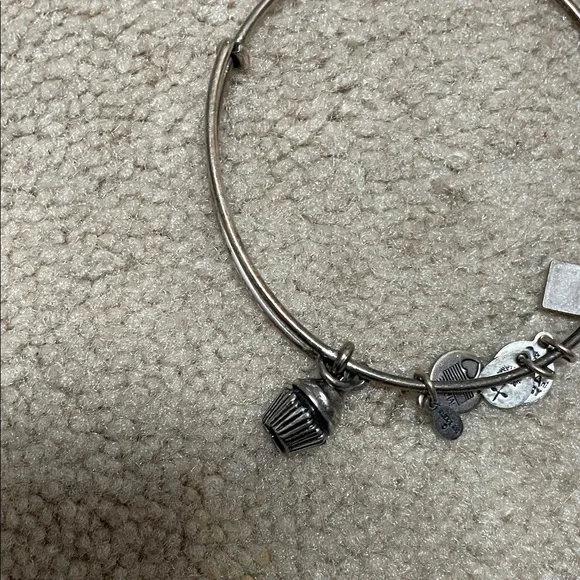 14 Alex and Ani assortment Stack of Mixed Metal Charm Bangle Bracelets - Picture 10 of 15